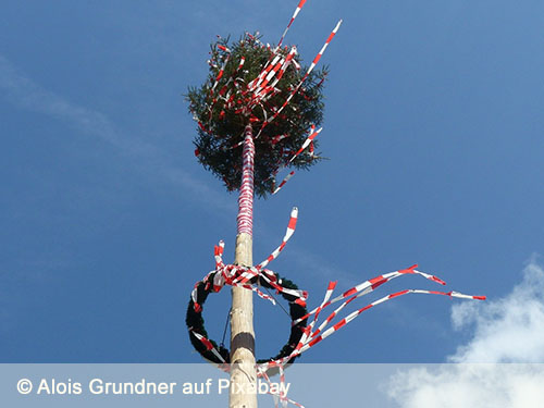 Maibaum mit rot-weißen Bändern